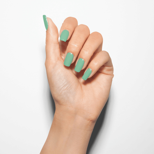 A MINT OF SPRING