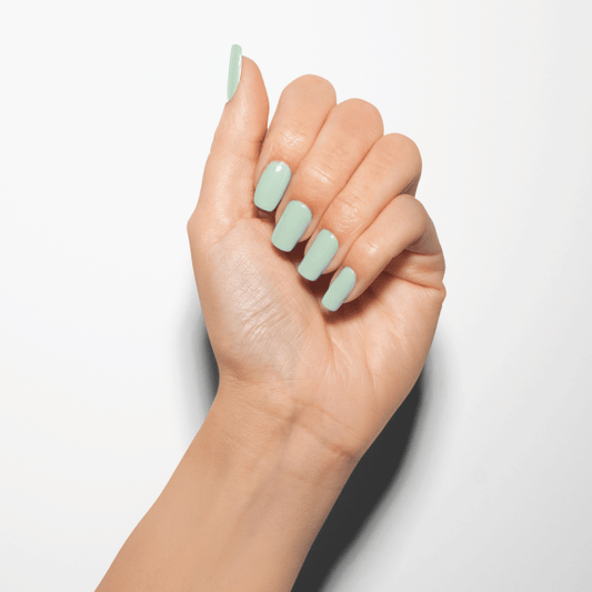 MINT CHOCOLATE CHIP