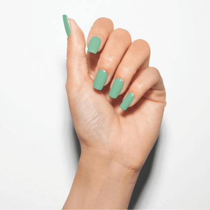 A MINT OF SPRING