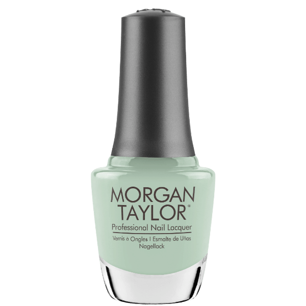 MINT CHOCOLATE CHIP